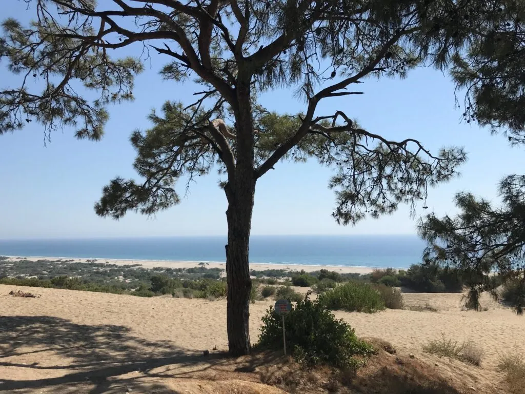 Patara Sand Dunes