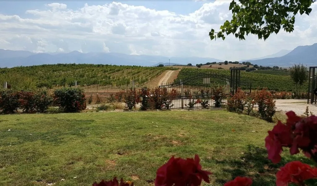 Lycian Grape Harvest