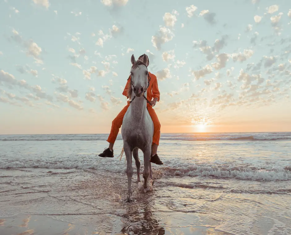 Horse Riding