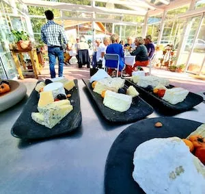 Tangala Cheeses